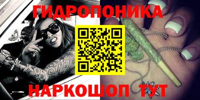 сатива Волжский