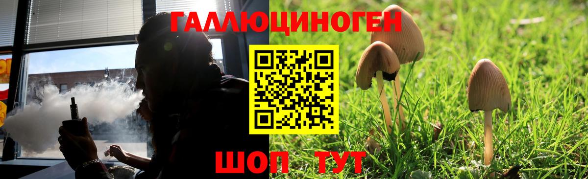 Галлюциногенные грибы MAGIC MUSHROOMS  Вход с VPN  Курчалой 