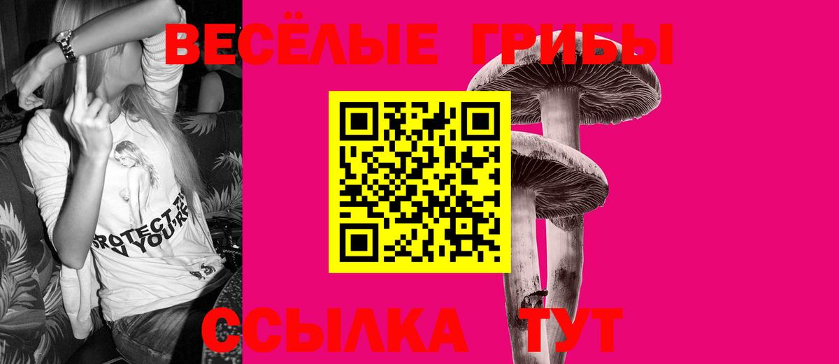 Галлюциногенные грибы прущие грибы Курчалой
