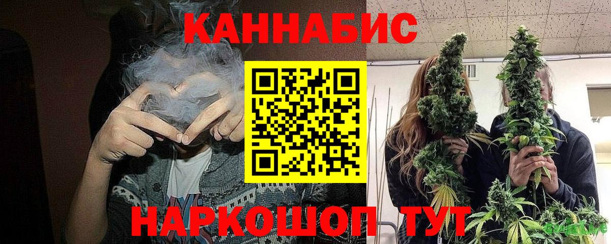 Конопля тримм Курчалой